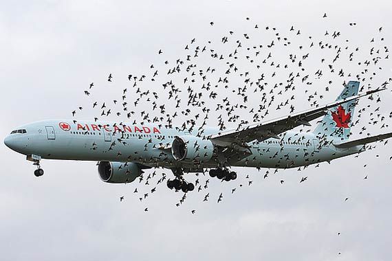 哈尔滨飞往北京HU7128航班,在北京哪个航站楼