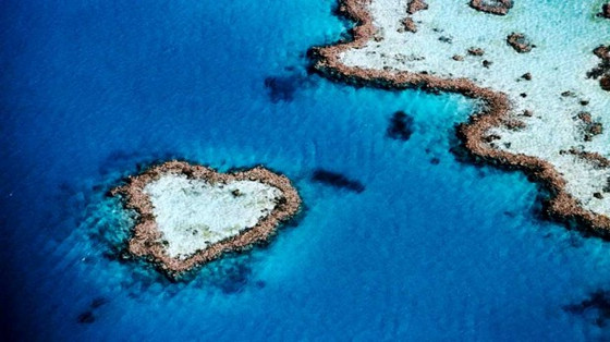 misteriosas obras naturaleza forma de 'corazón' 4