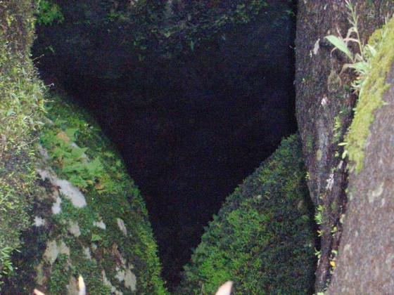 misteriosas obras naturaleza forma de 'corazón' 5