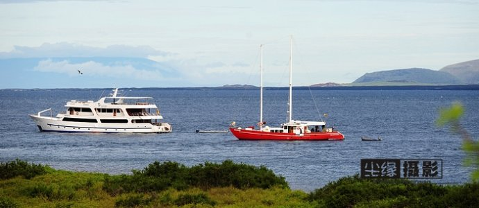 isla Darwin galápagos paraíso animales 35