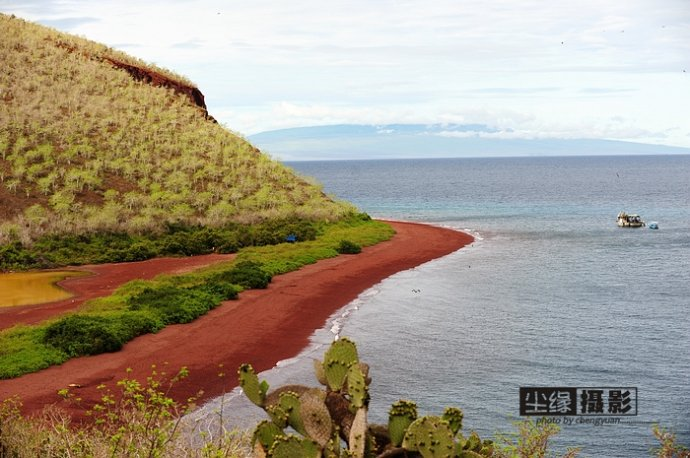 isla Darwin galápagos paraíso animales 34