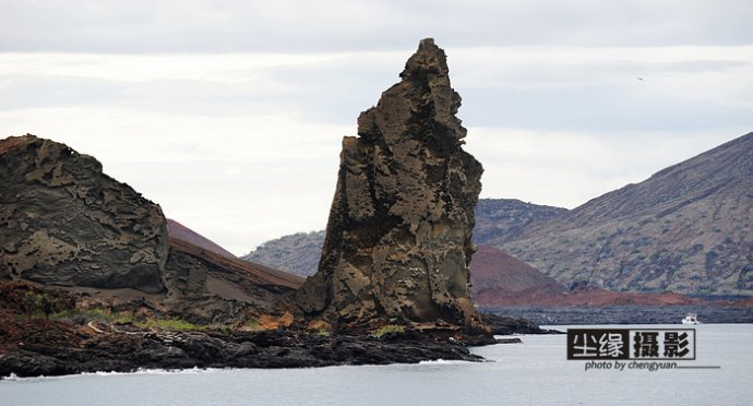 isla Darwin galápagos paraíso animales 9