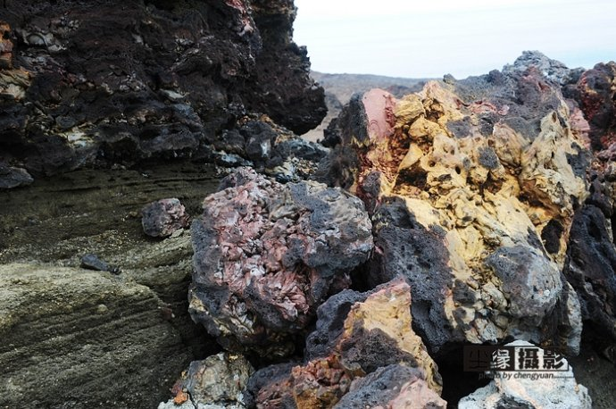 isla Darwin galápagos paraíso animales 4