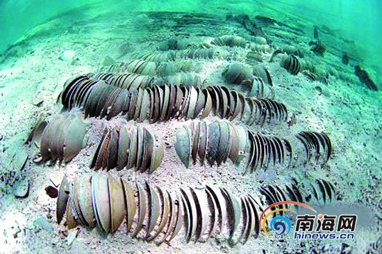 Tesoros arqueológicos brotan de las aguas del Mar de China Meridional 1