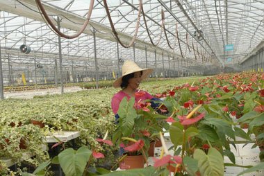 The 9-square-kilometer Sunqiao Modern Agriculture Park offers a unique rustic experience. There are hundreds of fruits and vegetables, farm produce, and demonstrations of scientific soilless farming. [Shanghai Daily]  