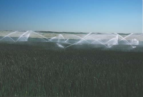 The file picture published on March 11, 2008 shows a water-saving irrigation project in Tianzhu County, northwest China's Gansu Province.