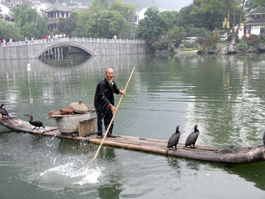 A cormorant fisherman gives his birds a rest from catching fish during the daytime in Yangshuo.