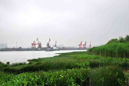 A 14-hectare wetland park featuring natural habitats will be part of the greenery landscape at the World Expo site, Shanghai Expo organizers have announced.