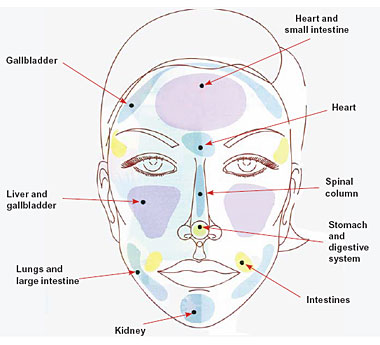 Chinese Acne Face Chart