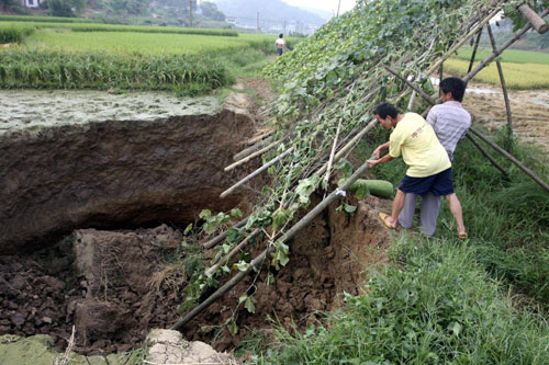 Two villagers rush to save the harvest from a field cave-in in Hutang village of Loudi, Central China's Hunan province, July 28, 2010. Some houses, driveways and fields in about 1.5 square kilometers were sunk, displacing more than 800 people. According to local geologists, the land subsidence was caused by mining operations.