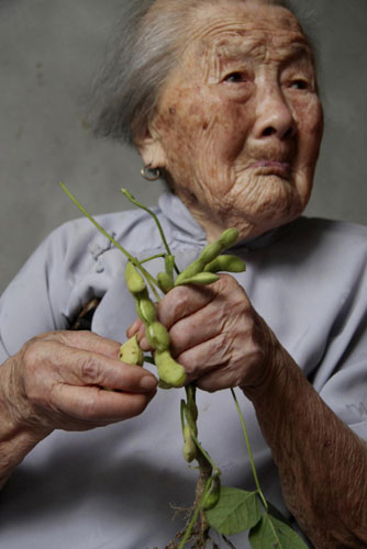 102-year-old Chu Xiangfeng removes a soybean from its stalk in Xichang town of Hai'an county, East China's Jiangsu province, August 4, 2010.According to data from local public security authority, 99 old people aging more than 100 now live in the county, with the oldest at 106. 