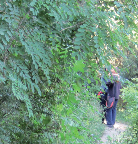 Two men meet in the woods of Mudanyuan.