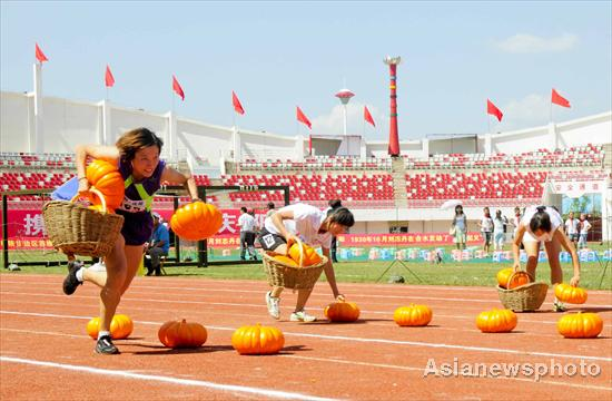 Competitor 'harvest pumpkins' during the second national red sports meeting in Qingyang city, Northwest China's Gansu province, June 27, 2011.