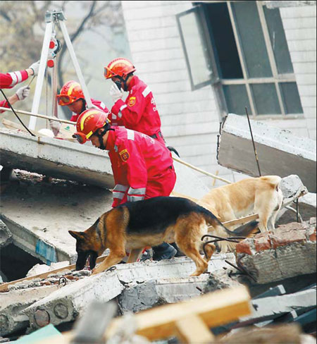 Members of the China Search and Rescue Team take part in a drill at its training base in Beijing on Nov 3.
