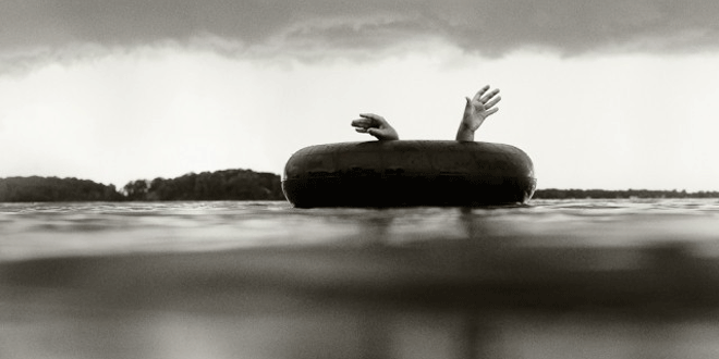 咪蒙 圣人 大盗 中国网 一起去读书吧