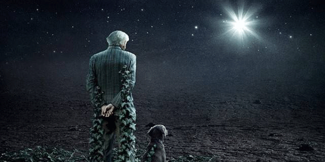 夏晏：等待，是最长情的告白