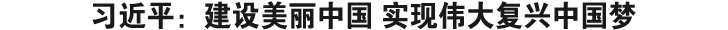 习近平:建设美丽中国 实现伟大复兴中国梦