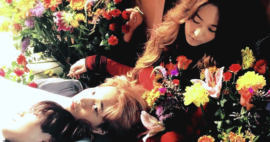 kai郑秀晶恋情曝光 此前拍写真画面暧昧(图)