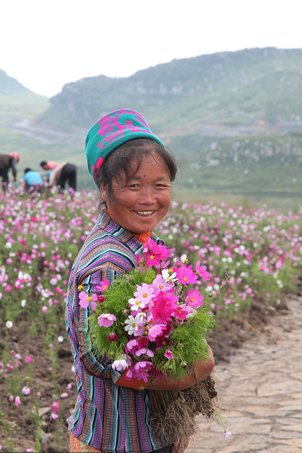 Mar de flores en Liupanshui, la 'Ciudad más Fresca' de China 3