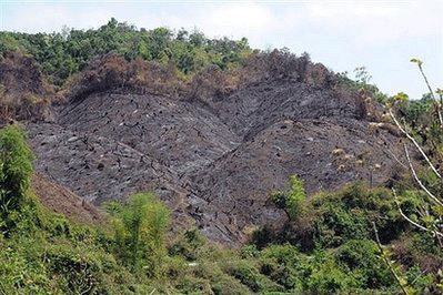 Forest turned fields are seen on the flank of hills in the northern province of Samneua in April 2008. Global warming is driving tropical plant and animal species to higher altitudes, potentially leaving lowland rainforest with nothing to take their place, ecologists argue in this week's issue of Science. [Agencies] 