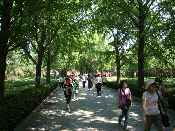 Lush greenery is a easy avenue to put visitors in the right frame of mind.[China.org.cn] 
