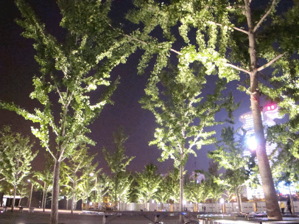  Olympic Parks lights up at night [China.org.cn]