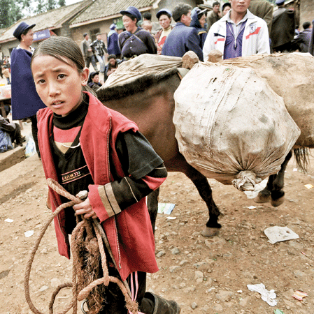 Qubiag was best at math in her class. Now after dropping out of school, she is responsible for taking horses to the local market fair. 