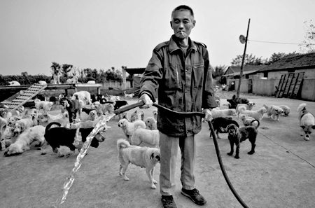 Mr Kin manages the shelter, arranging for feeding and cleaning. As the site is the last holdout in an area scheduled for demolition, the water supply has been cut forcing staff to fetch water from a well for the dogs.