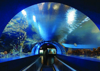 Beijing Aquarium