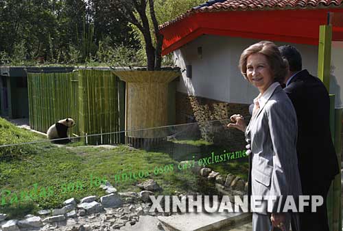 9月19日，西班牙王后索菲娅在首都马德里的动物园观赏中国大熊猫。今年6月西班牙国王卡洛斯一世访华时，两国政府确定中国与西班牙大熊猫保护研究国际合作项目启动。本月8日，雄性大熊猫“冰星”和雌性大熊猫“花嘴巴”抵达马德里，开始在马德里动物园为期10年的旅居生活。 新华社/法新 