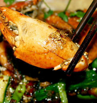 秋爽蟹肥10.1螃蟹追击令