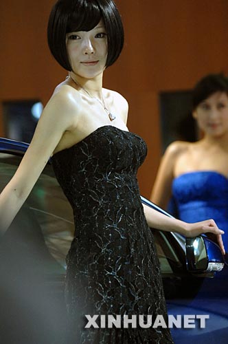 10月9日，车模在南京国际汽车展览会上。当日，2007年南京国际汽车展览会在南京国际展览中心开幕。 