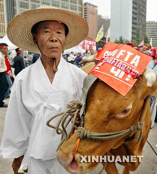 6月20日，一名南韓農民牽著牛參加首爾舉行的集會，抗議美國牛肉衝擊南韓牛肉市場。當天，數萬名南韓農民在南韓首爾的市政府廣場集會，反對韓美自由貿易協定。韓美貿易代表將於21日在首爾舉行談判，討論修改雙邊自由貿易協定草案問題。 