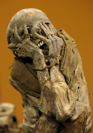 2007年1月9日，秘鲁利马国家博物馆，一具木乃伊在文化展览上被展出。被展出的木乃伊出土于秘鲁北部亚马逊雨林地区，反映了900到1500年前的印加文化。