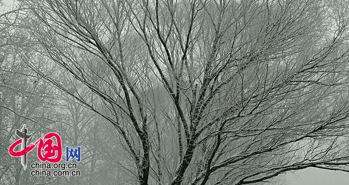 2007年12月10日，北京冬季的第一场雪，郊外的旷野散发迷蒙的别样气息...... 中国网网友 龙邦/摄影