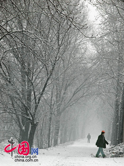 2007年12月10日，北京冬季的第一場(chǎng)雪，郊外的曠野散發(fā)迷蒙的別樣氣息...... 中國網(wǎng)網(wǎng)友 龍邦/攝影