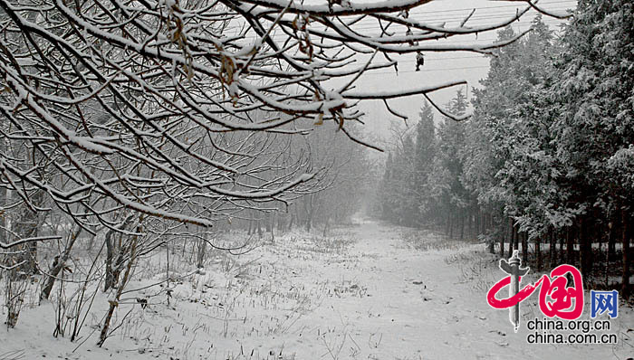 2007年12月10日，北京冬季的第一場雪，郊外的曠野散發迷蒙的別樣氣息...... 中國網網友 龍邦/攝影