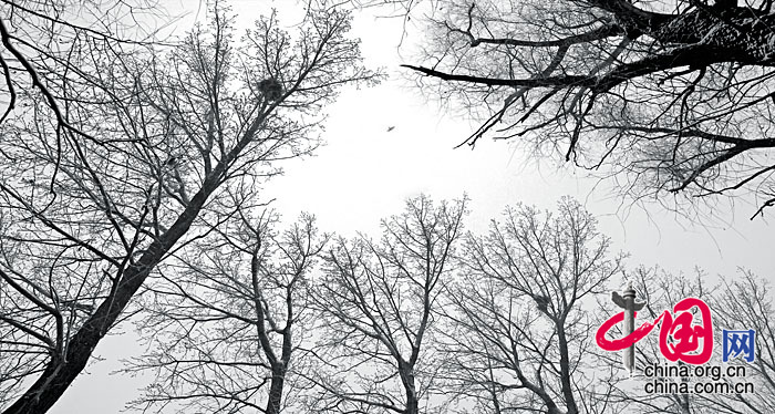 2007年12月10日，北京冬季的第一场雪，郊外的旷野散发迷蒙的别样气息...... 中国网网友 龙邦/摄影