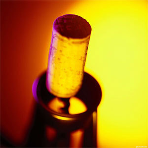 [生活提示]元旦专家教你挑葡萄酒