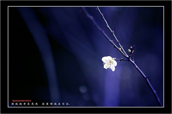 零落成泥碾作尘 唯有香如故