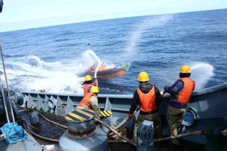 日本捕鯨船扣押動物保護主義者[組圖]