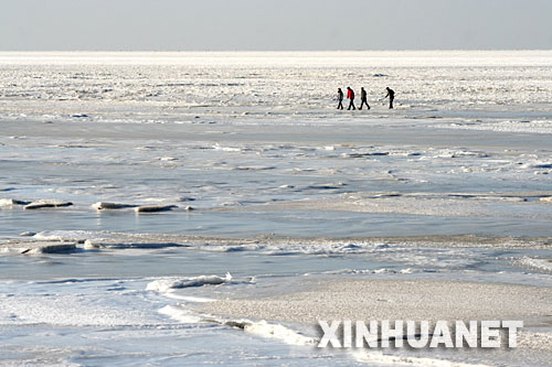1月16日，幾名遊人從大連海濱冰封的海面上走過。     由於連日持續低溫，大連市海濱大面積結冰封凍，景象頗為壯觀。 新華社發(徐德武 攝) 
