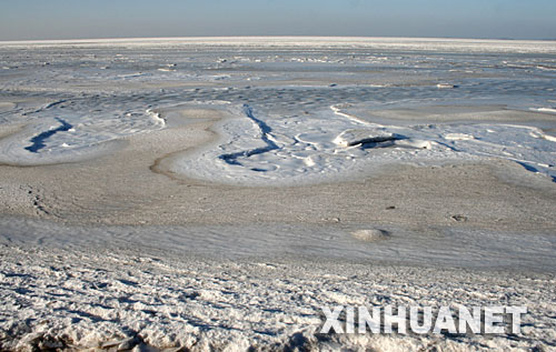 1月16日在大連海濱拍攝的大海冰封景象。     由於連日持續低溫，大連市海濱大面積結冰封凍，景象頗為壯觀。 新華社發(徐德武 攝) 
