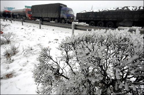 1月30日，车辆在京珠高速公路湖南段等候放行。