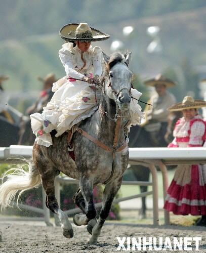 2月3日，一名女骑手在墨西哥首都墨西哥城举行的骑士节上进行马上表演。当日，墨西哥城举行一年一度的骑士节。近5000名市民观看了骑马比赛、马上表演等活动。
