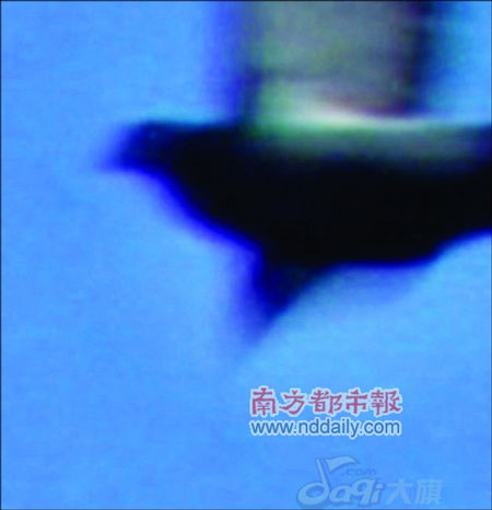 2005年“華賽”（中國國際新聞攝影比賽）一張金獎照片也被網友強烈質疑為合成修改作品。照片作者昨天對本報記者否認曾修改照片，並表示此事無聊，無意自證清白。