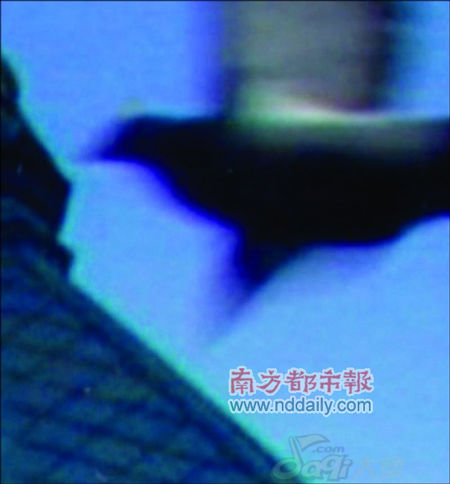 2005年“華賽”（中國國際新聞攝影比賽）一張金獎照片也被網友強烈質疑為合成修改作品。照片作者昨天對本報記者否認曾修改照片，並表示此事無聊，無意自證清白。