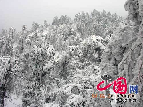 庐山雪景让人快乐不起来（图片由国家林业局提供）