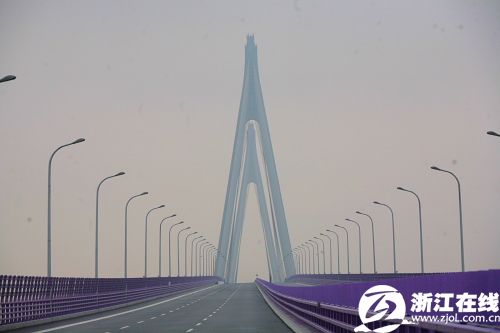 杭州湾跨海大桥北航道桥。