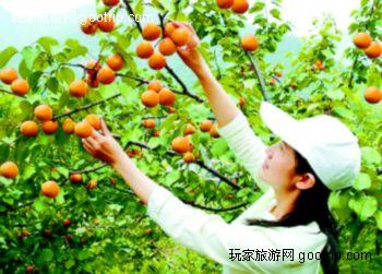北京周边十大经典骑行线路 北京周边十大经典骑行线路